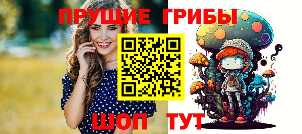 Соль-Илецк  закладка  Вход с VPN  Псилоцибиновые грибы ЛСД 